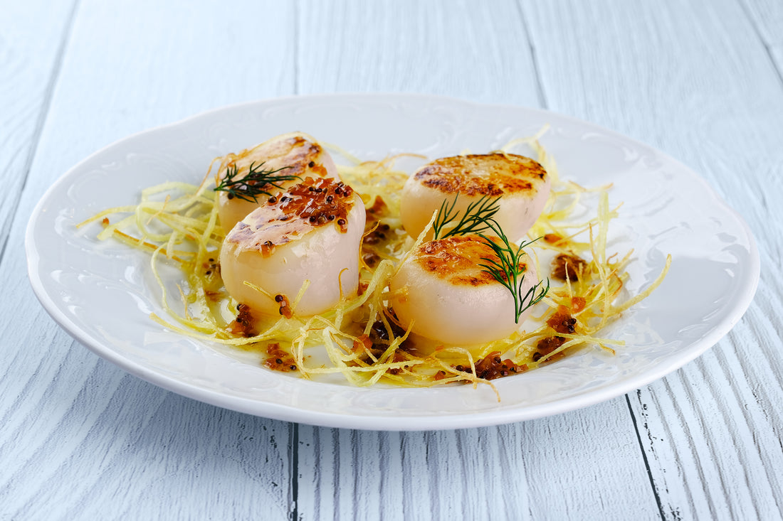 Scallops
