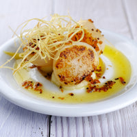 Scallops