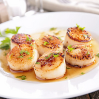 Scallops